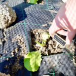 Orto-didattico-1