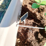 Orto-didattico-2