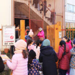 Nuova-Biblioteca-Villaggio-del-Sole-3