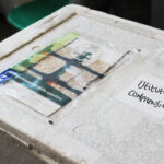 Corso-orientampento-prime-7