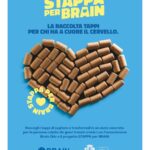 Stappa-per-brain-1