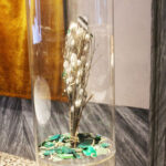 Foto-Palladio-Museum-6