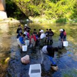 WhatsApp-Image-2026-04-22-at-15.05.44