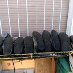 WhatsApp-Image-2026-04-23-at-15.42.54-1