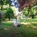 Ci-vuole-un-villaggio-8